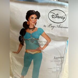 Adult Princess Jasmine Halloween costume